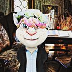 Profile Picture of Fred_Sallies (@the_cat_freddi) on Instagram