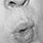 Profile Picture of Nicky And Natalie Thomas And Grant (@natalie&nicky) on Flickr