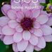 Profile Picture of Vicki Rupp (@vicki.rupp.520) on Facebook