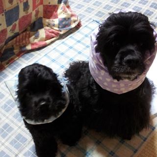 Profile Picture of Yukie Inoue (@yukie.inoue.940) on Facebook