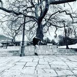 Profile Picture of panos_$$$$$$ (@panos_jason_killer) on Instagram