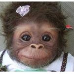 Profile Picture of Daniel Mandache (@daniel_mandache) on Instagram