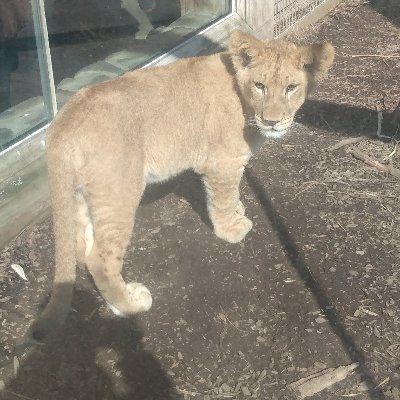 Chris Thrift - Twitter Profile Picture of Chris Thrift (@ChrisThrift4) on Twitter