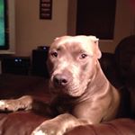Profile Picture of Erik Staley (@weaksaucebeta) on Instagram