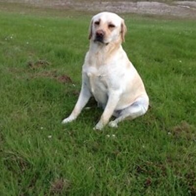 Profile Picture of Marc Van Tol (@marc_tol) on Twitter