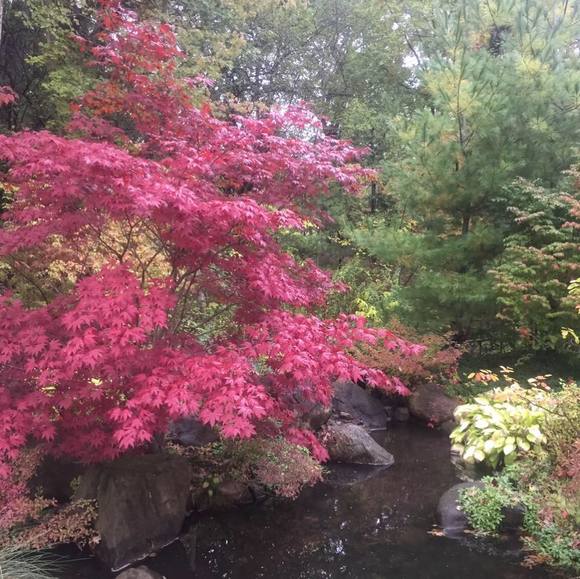 Profile Picture of Jennifer Alberts (@celatia) on Poshmark