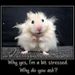 Profile Picture of Betsy Weaver (@tig2rrr) on Pinterest