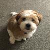 Profile Picture of Wilson (@@kerryappleton0) on Tiktok