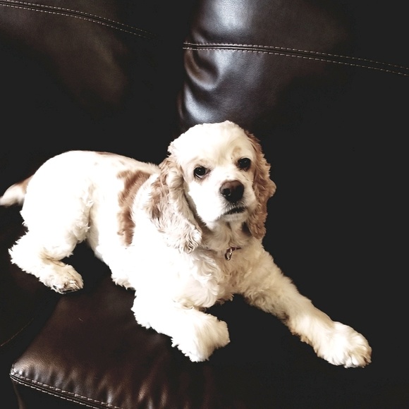 Michele Burkhart - Poshmark Profile Picture of Michele Burkhart (@micheleb226) on Poshmark