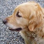 Profile Picture of kenneth hedlund (@u.kennethhedlund) on Instagram