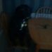 Profile Picture of Neil Watterson (@neil.watterson.54) on Facebook