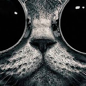 Daniel Bastidas - Youtube Profile Picture of Daniel Bastidas (@TheDani0007) on Youtube