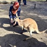 Profile Picture of Clara Tang 클라라 (@claratang1126) on Instagram