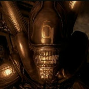 Profile Picture of Sean Shields (@seanshields3468) on Youtube