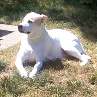 Profile Picture of Robin Miner (@RobinMiner11) on Twitter