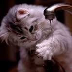 Profile Picture of Bart Millsaps (@bart.millsaps.3) on Facebook