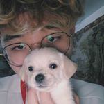 michael yi - Instagram Profile Picture of michael yi (@doctoryizzle) on Instagram