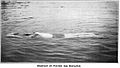 Profile Picture of Plunge for distanceon Wikipedia