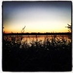 Dylan Mccain Lane Daley - Instagram Profile Picture of Dylan Mccain Lane Daley (@dirty_d_wfguides) on Instagram