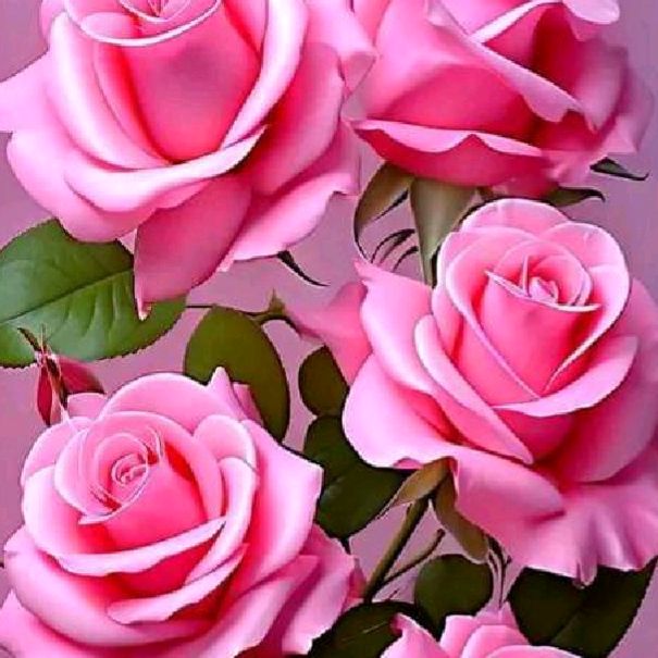 Profile Picture of Yolanda Tejeda (@teamojarol) on Tiktok