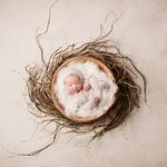 Profile Picture of Lily Hayes (@lilyhayesphoto) on Instagram