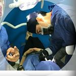 Profile Picture of C.D. Cesar Esparza 😷💉 (@dentistacesaresparza) on Instagram