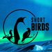 Profile Picture of Short Birds LLC (@shortbirdsllc) on Pinterest