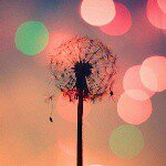 Profile Picture of Jenny Berthold (@jenny_berthold) on Instagram