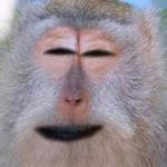 Profile Picture of Joey (Jose) Candelaria (@herbal_wolf) on Instagram