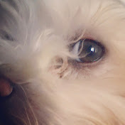 Profile Picture of Jean Stevens (@jeanstevens6771) on Youtube