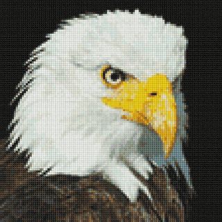 Profile Picture of Cliff Manning (@cliff.manning.944) on Facebook