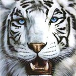 Profile Picture of Luis Carlos Sermeno (@luiscarlossermeno) on Instagram