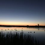 Profile Picture of Jared Dickey (@jareddickey) on Instagram