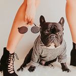 Profile Picture of 🐾𝕍 𝕀 𝕋 𝕆 & Barbara👧 (@frenchie.vito) on Instagram