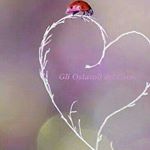 Profile Picture of GRAZIA FERRANTE (@graziafederico3) on Instagram