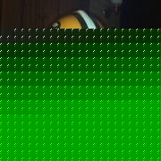 Profile Picture of Steven Sybert (@steven.sybert) on Myspace