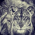 Profile Picture of Julian Aguilera (@j.aguilera24) on Instagram