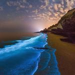 Profile Picture of Michael Allie (@michaelallie) on Instagram