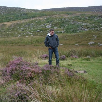 Profile Picture of Tom (@t_towey) on Twitter