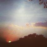 Profile Picture of Jocelyn Newton (@mellow.service.dog621) on Instagram