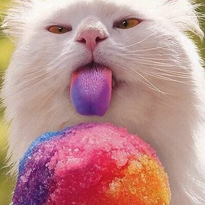 Profile Picture of Faye Rasmussen (@fayerasmussen) on Twitter