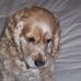 Profile Picture of Paulette Casebeer (@paulette.casebeer) on Facebook
