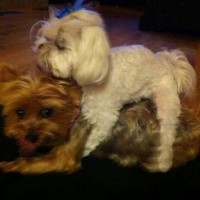 Profile Picture of Andrew Kochanski (@andrew-kochanski-1) on Quora