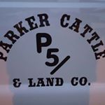 Dominic Stephenson - Instagram Profile Picture of Dominic Stephenson (@jkparker0762) on Instagram