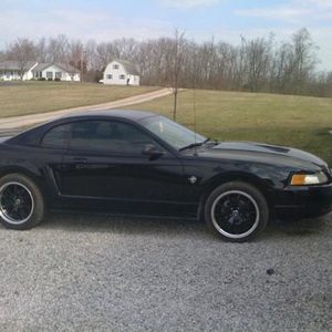 Caelan Mayes - Myspace Profile Picture of Caelan Mayes (@thecaelan) on Myspace