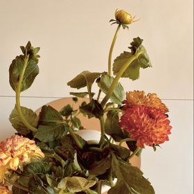 Profile Picture of Crystal Holloway (@pinoctober) on Pinterest