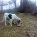 Profile Picture of Jim Wheatley (@jim.wheatley.9047) on Facebook