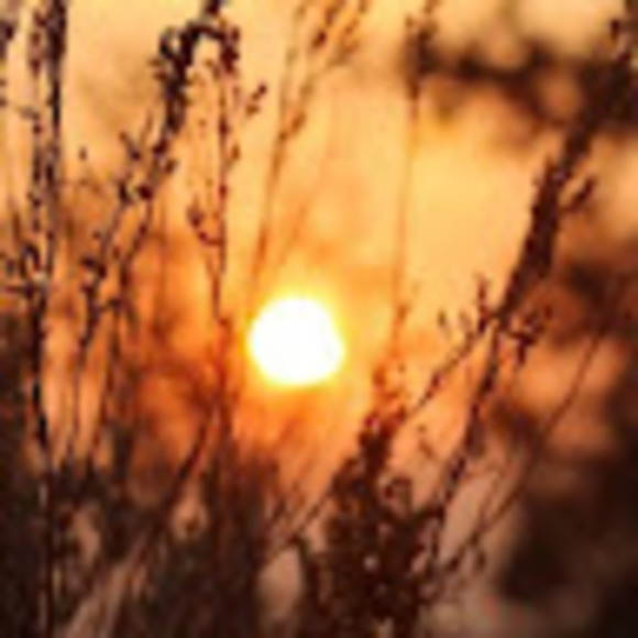 Profile Picture of Breanna Kinsler (@breannakinsler) on Poshmark