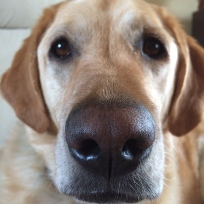 Profile Picture of Stu Sirjord (@StuSirjord) on Twitter