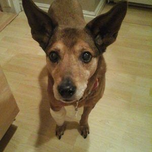 Profile Picture of Andrew Jacobo (@andrewj8445) on Twitter